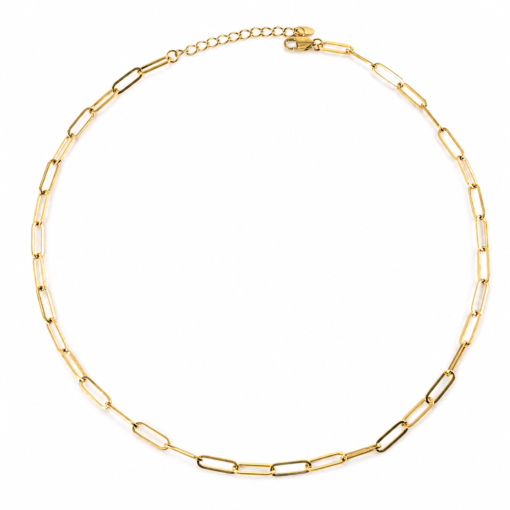 BOLDER DAINTY LINK NECKLACE