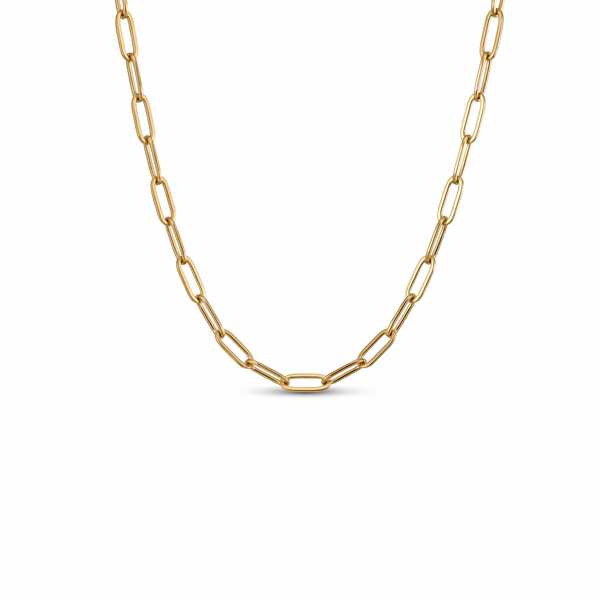BOLDER DAINTY LINK NECKLACE